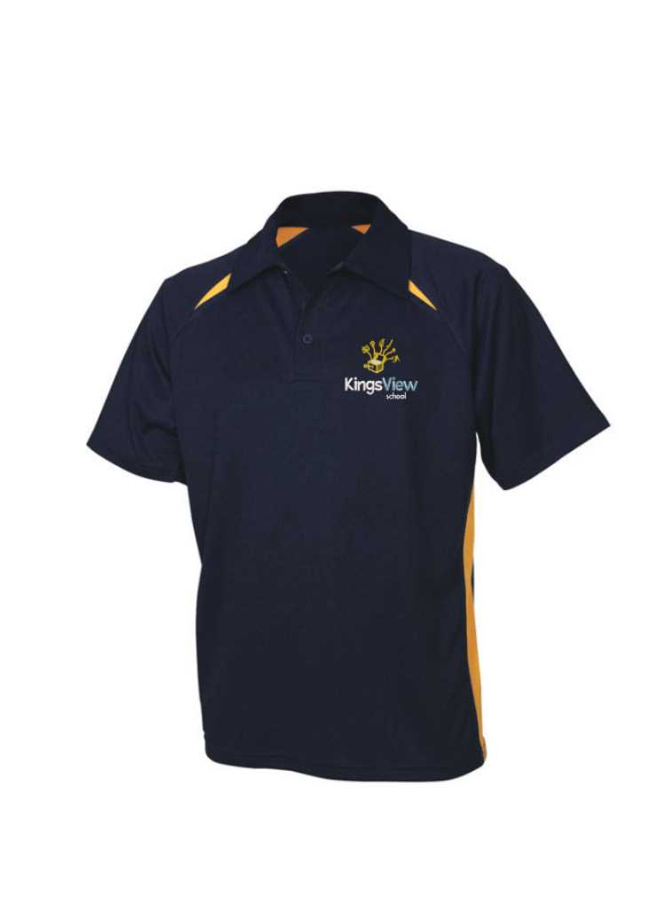 KingsView School PE Tee Navy/Gold